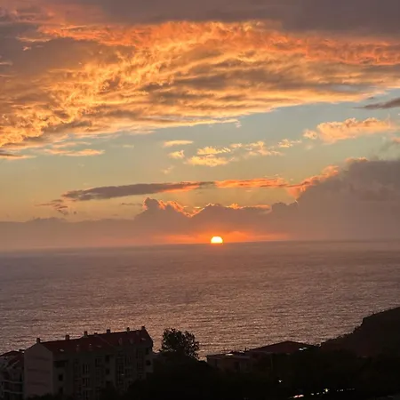Madeira Mar - 